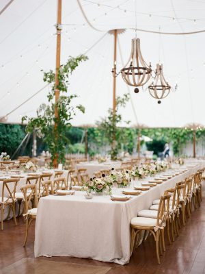 elisa-bricker-charlottesville-virginia-wedding-rentals