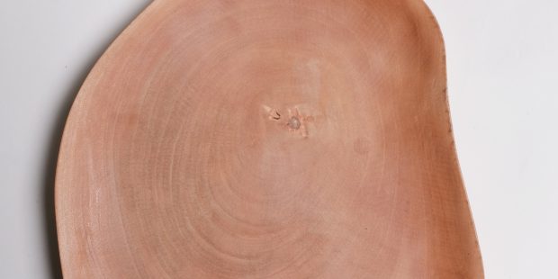 Mango Wood Serving Tray