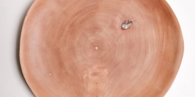 Large Mango Wood Platter